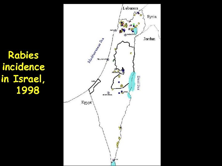 Rabies incidence in Israel, 1998 