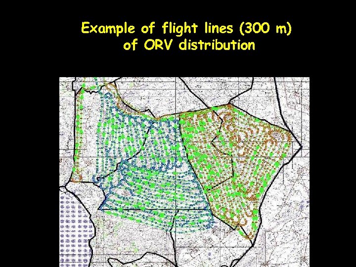 Example of flight lines (300 m) of ORV distribution 