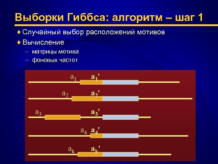 Выборки Гиббса: алгоритм – шаг 1 ♦ Случайный выбор расположений мотивов ♦ Вычисление –