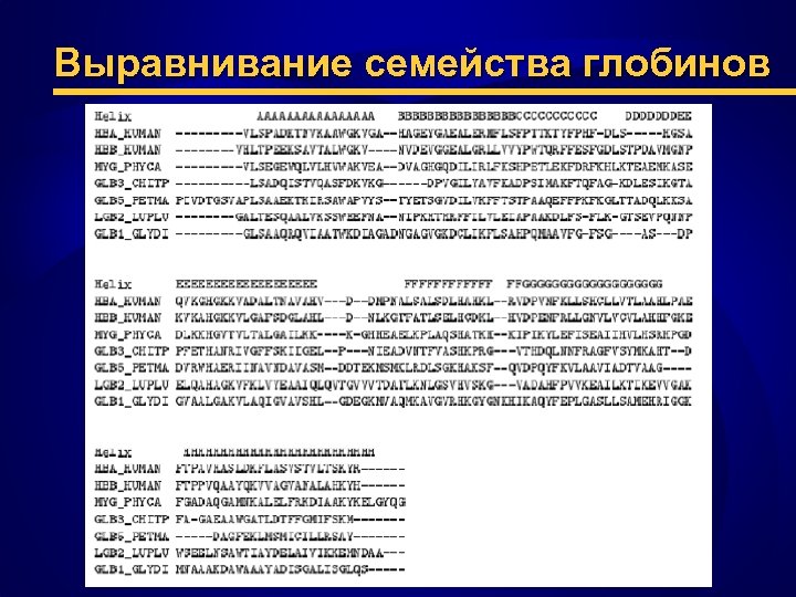 Выравнивание семейства глобинов 
