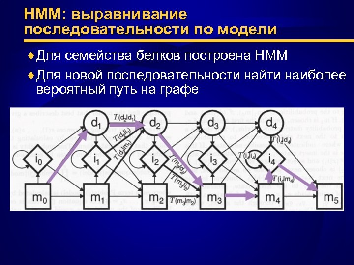 HMM: выравнивание последовательности по модели ♦ Для семейства белков построена HMM ♦ Для новой