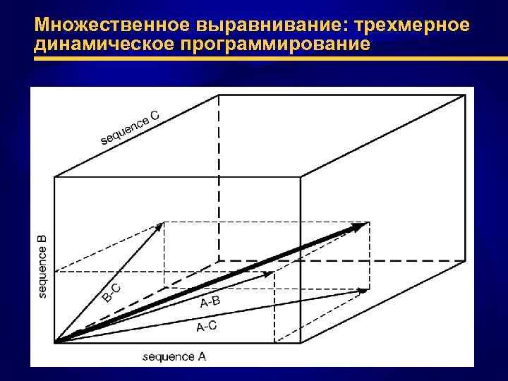 Множественное выравнивание: трехмерное динамическое программирование 