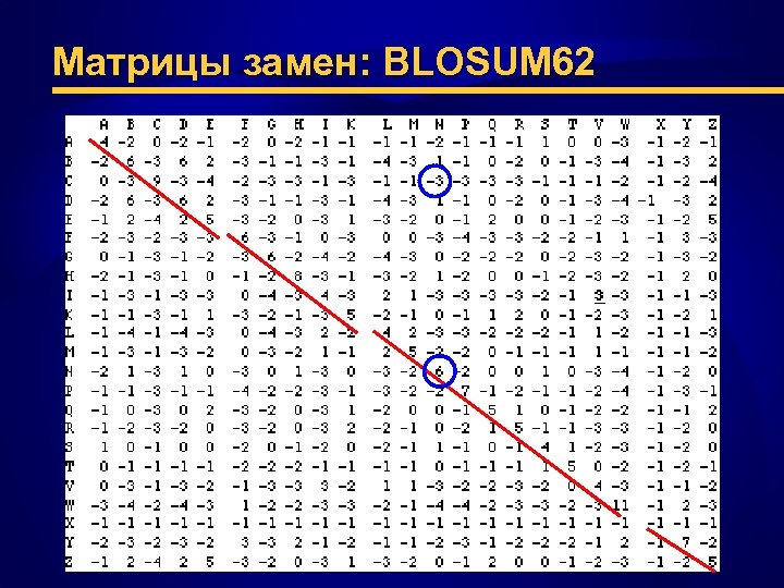 Матрица аминокислотных замен рам 250