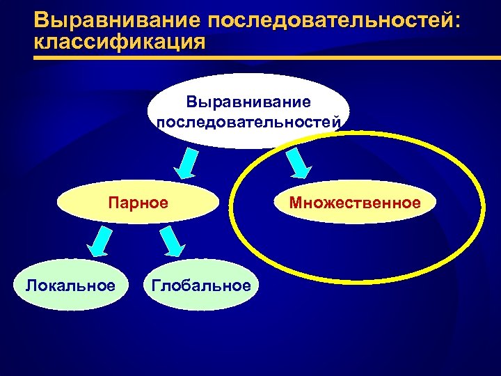 Выравнивание последовательностей: классификация Выравнивание последовательностей Парное Локальное Глобальное Множественное 