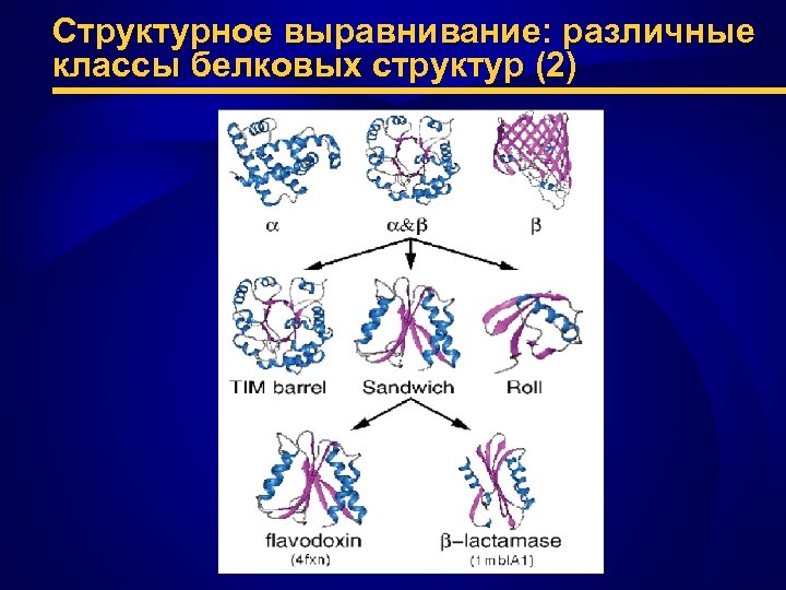 Структурное выравнивание: различные классы белковых структур (2) 