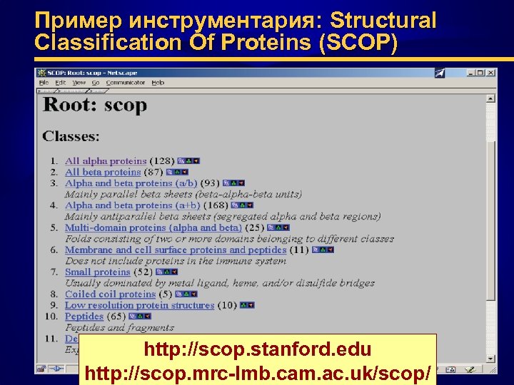 Пример инструментария: Structural Classification Of Proteins (SCOP) http: //scop. stanford. edu http: //scop. mrc-lmb.