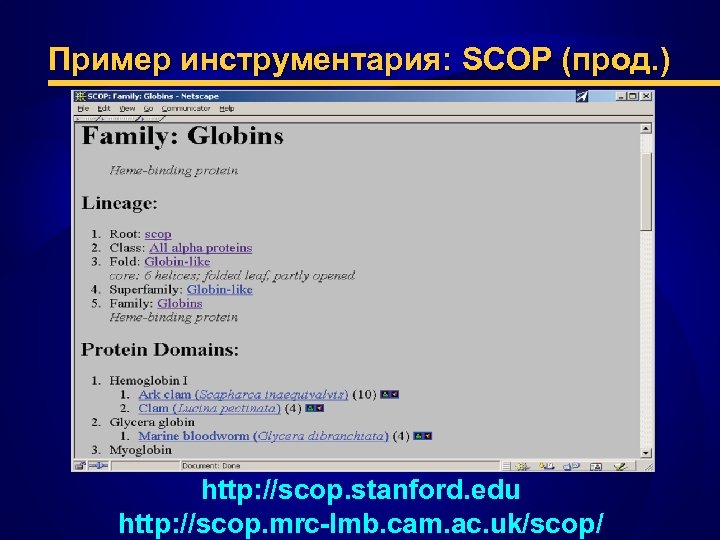 Пример инструментария: SCOP (прод. ) http: //scop. stanford. edu http: //scop. mrc-lmb. cam. ac.