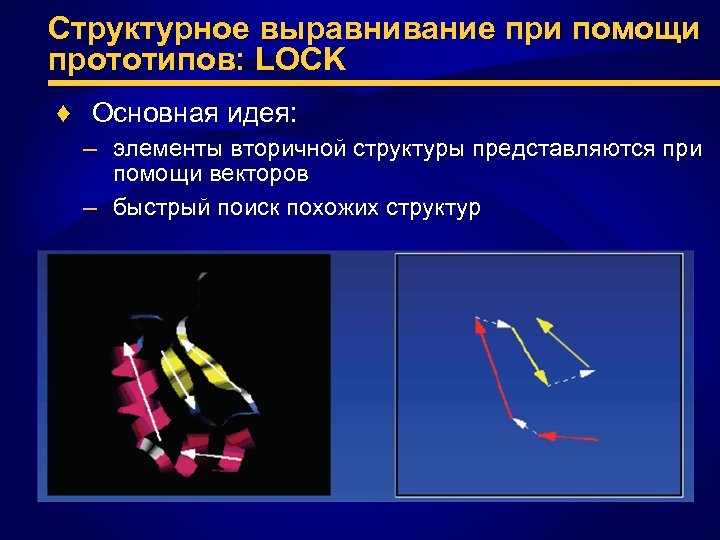 Структурное выравнивание при помощи прототипов: LOCK ♦ Основная идея: – элементы вторичной структуры представляются