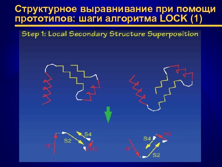Структурное выравнивание при помощи прототипов: шаги алгоритма LOCK (1) 