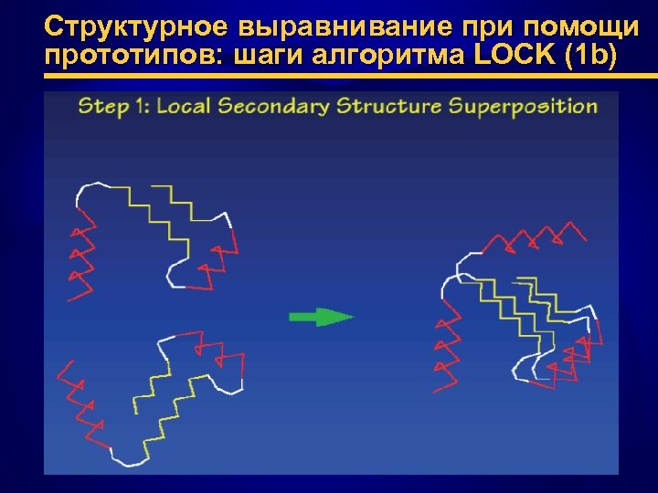 Структурное выравнивание при помощи прототипов: шаги алгоритма LOCK (1 b) 