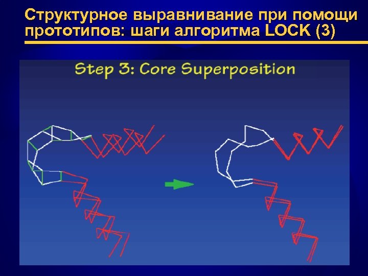 Структурное выравнивание при помощи прототипов: шаги алгоритма LOCK (3) 
