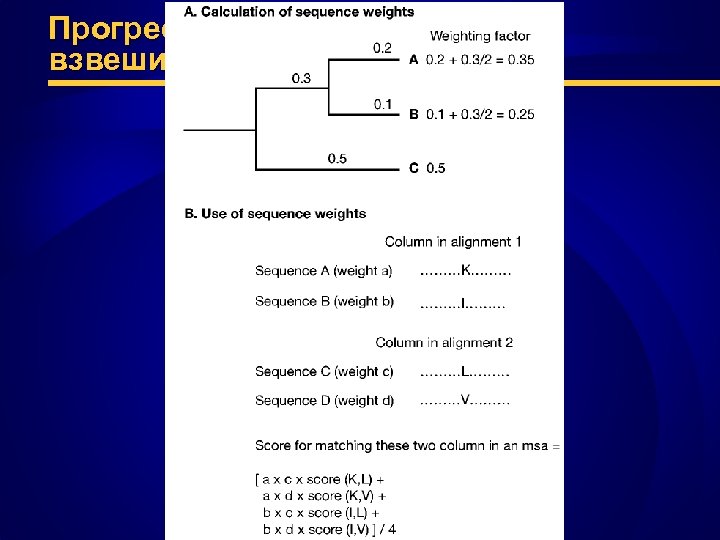 Прогрессивное выравнивание: взвешивание ветвей дерева 