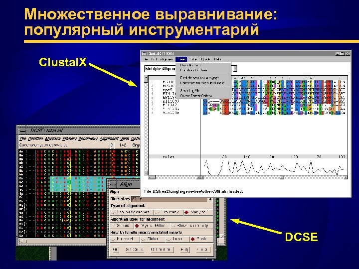 Множественное выравнивание: популярный инструментарий Clustal. X DCSE 
