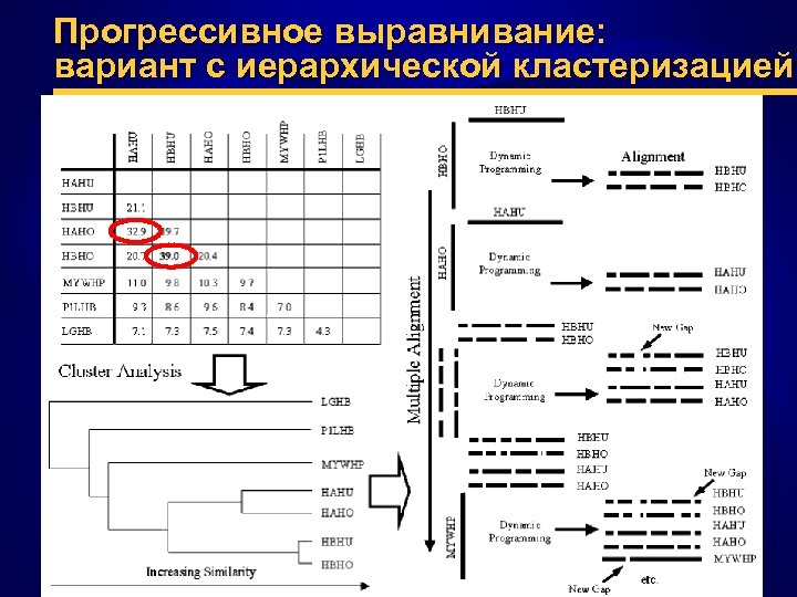 Прогрессивное выравнивание: вариант с иерархической кластеризацией 