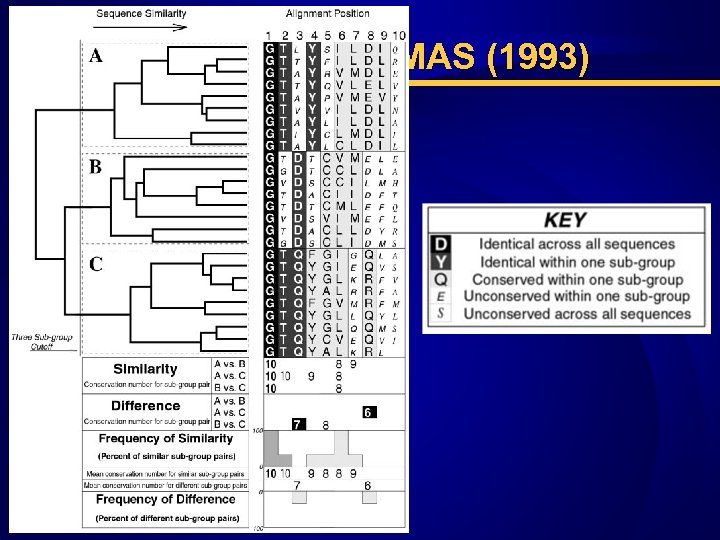 Инструментарий: AMAS (1993) 