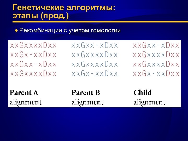 Генетичекие алгоритмы: этапы (прод. ) ♦ Рекомбинации с учетом гомологии 