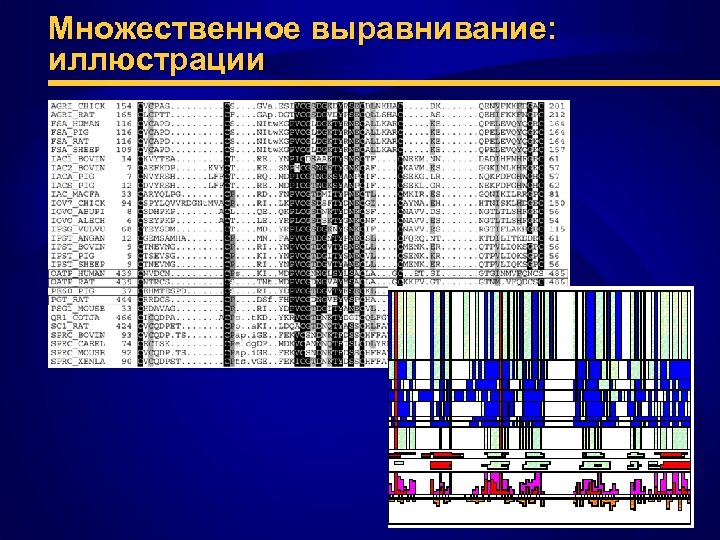Множественное выравнивание: иллюстрации 