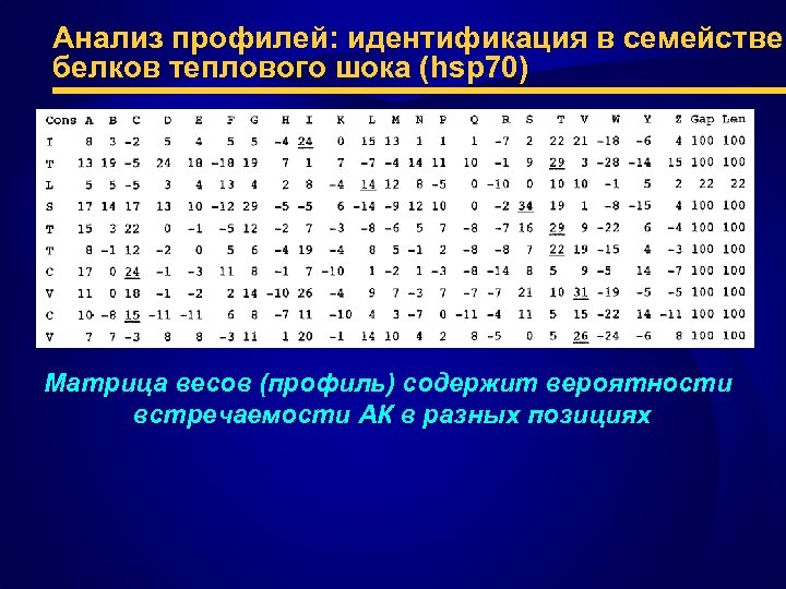 Анализ профилей: идентификация в семействе белков теплового шока (hsp 70) Матрица весов (профиль) содержит
