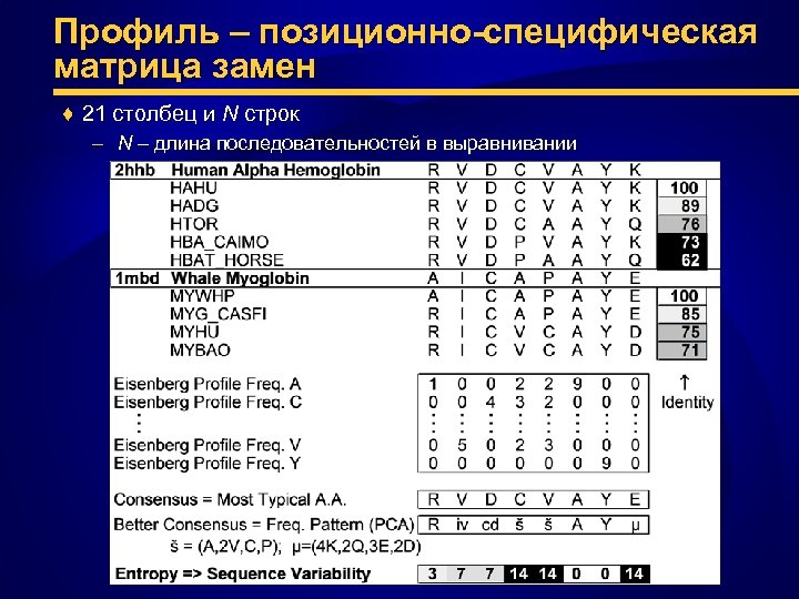 Профиль – позиционно-специфическая матрица замен ♦ 21 столбец и N строк – N –