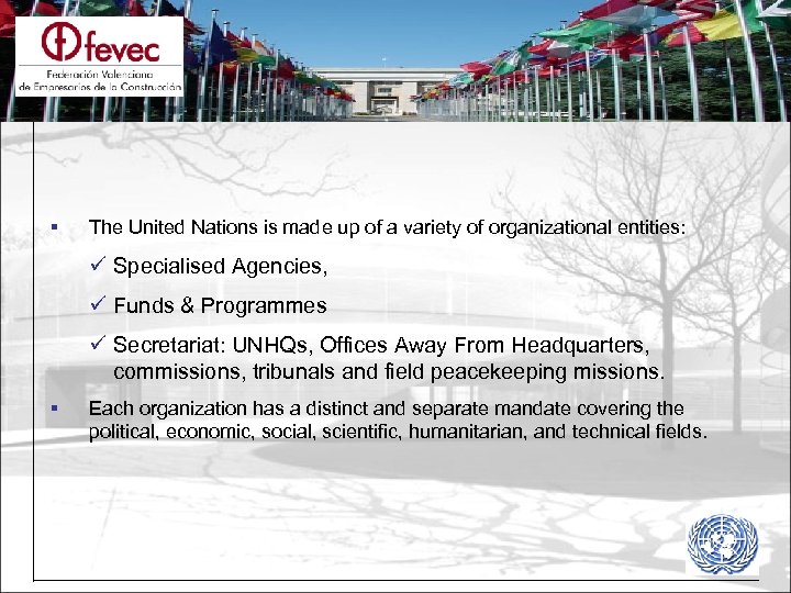 § The United Nations is made up of a variety of organizational entities: ü