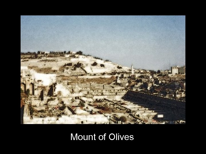 Mount of Olives 