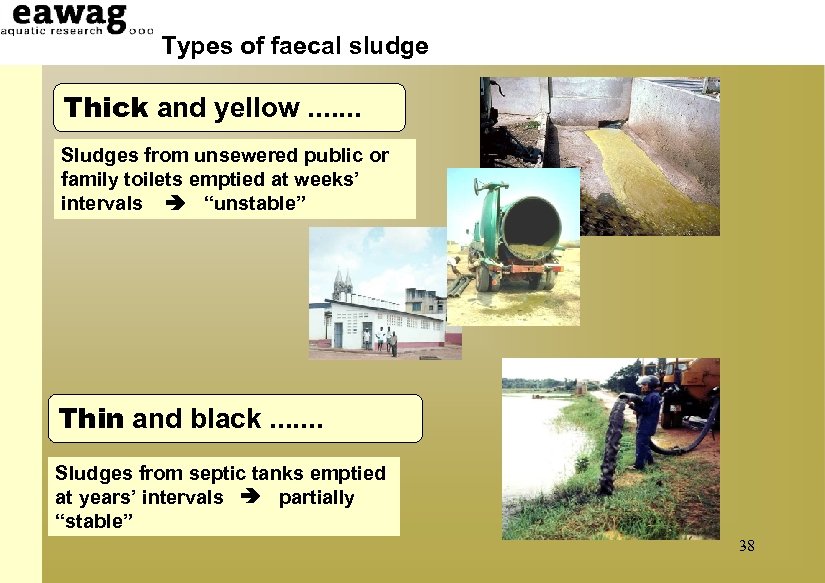 Types of faecal sludge Thick and yellow. . . . Sludges from unsewered public