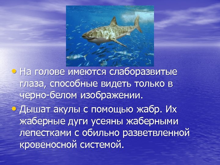  • На голове имеются слаборазвитые глаза, способные видеть только в черно-белом изображении. •