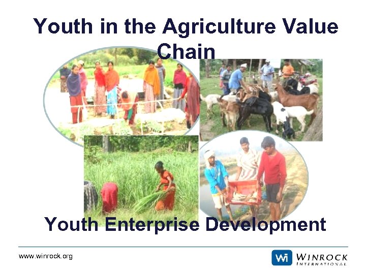 Youth in the Agriculture Value Chain Youth Enterprise Development www. winrock. org 