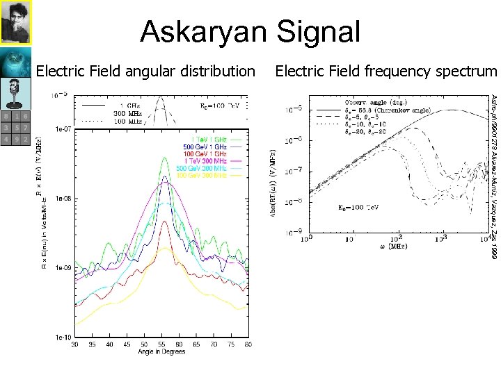 Askaryan Signal Electric Field angular distribution Astro-ph/9901278 Alvarez-Muniz, Vazquez, Zas 1999 Cherenkov angle=55. 8