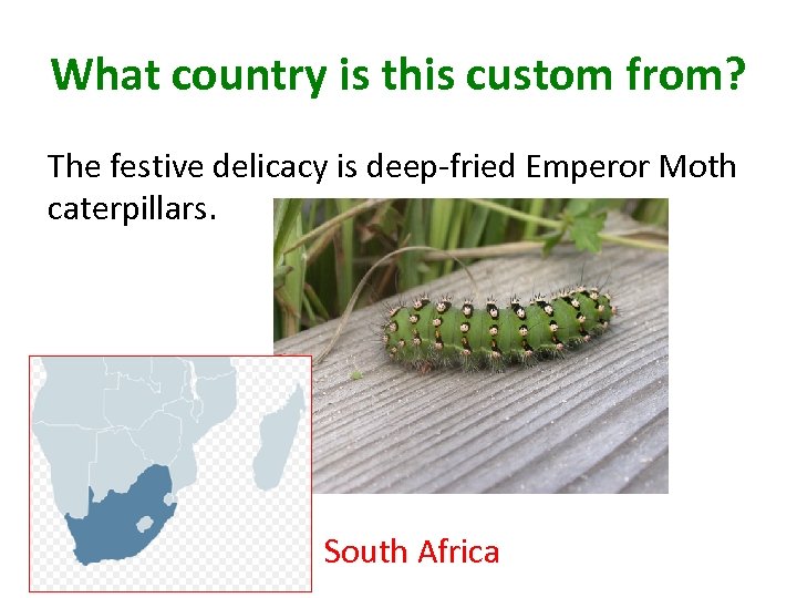 What country is this custom from? The festive delicacy is deep-fried Emperor Moth caterpillars.