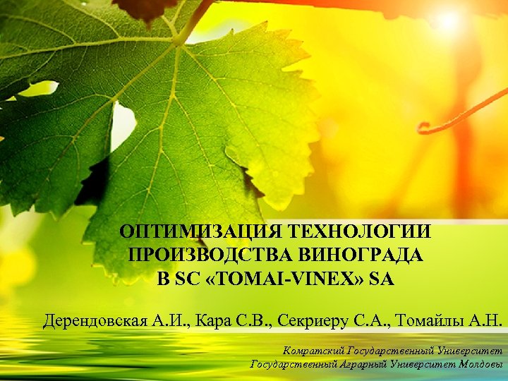 ОПТИМИЗАЦИЯ ТЕХНОЛОГИИ ПРОИЗВОДСТВА ВИНОГРАДА В SC «TOMAI-VINEX» SA Дерендовская А. И. , Кара С.