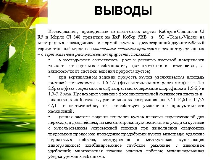 ВЫВОДЫ % Исследования, проведенные на плантациях сортов Каберне-Совиньон Cl R 5 и Мерло Cl