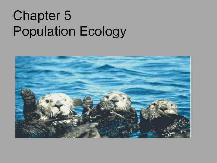 Chapter 5 Population Ecology 