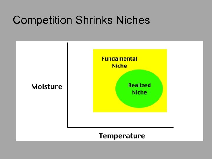 Competition Shrinks Niches 