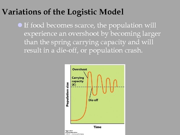 Variations of the Logistic Model l If food becomes scarce, the population will experience