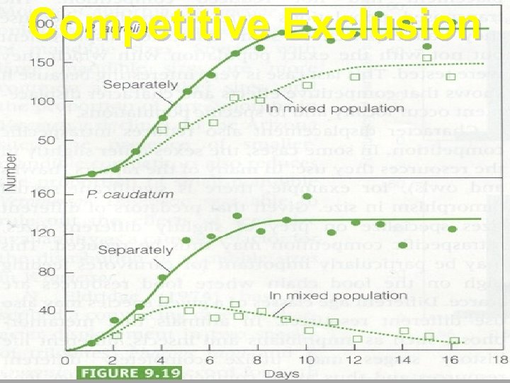 Competitive Exclusion 129 