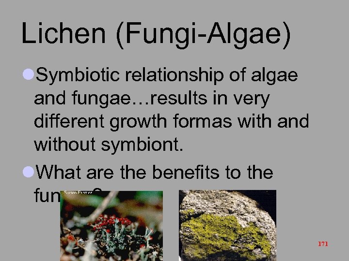 Lichen (Fungi-Algae) l. Symbiotic relationship of algae and fungae…results in very different growth formas