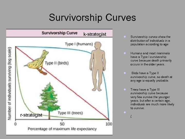 Survivorship Curves k-strategist Survivorship curves show the distribution of individuals in a population according