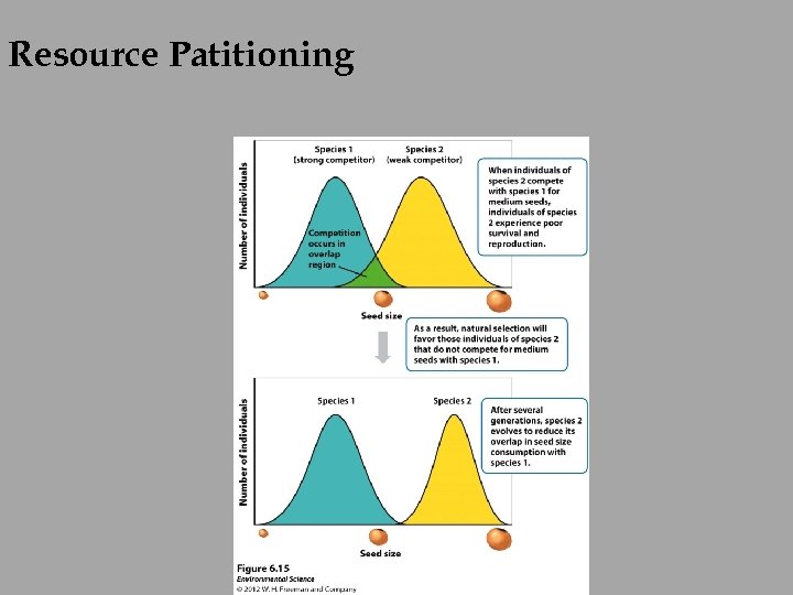 Resource Patitioning 