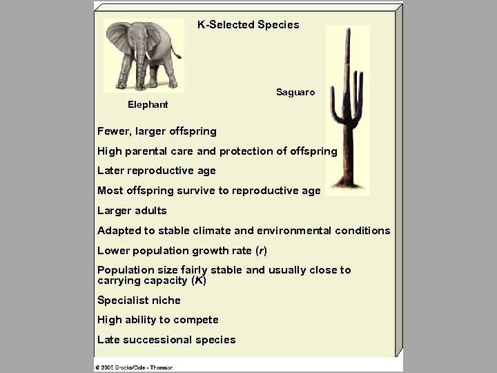 K-Selected Species Saguaro Elephant Fewer, larger offspring High parental care and protection of offspring