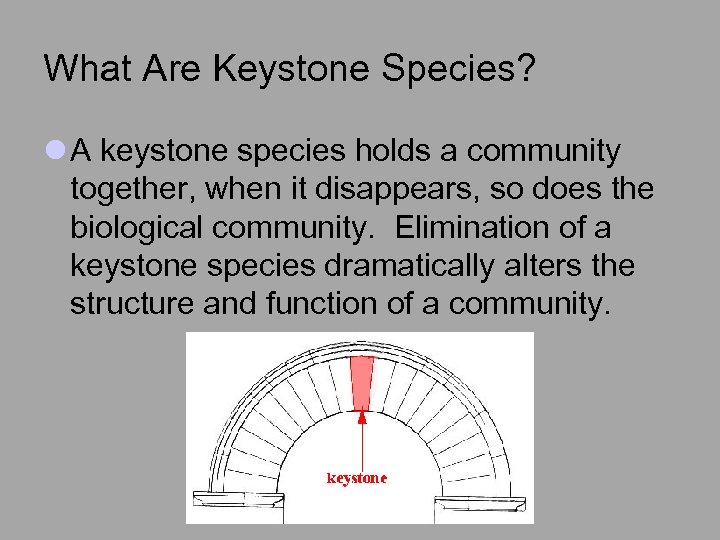 What Are Keystone Species? l A keystone species holds a community together, when it