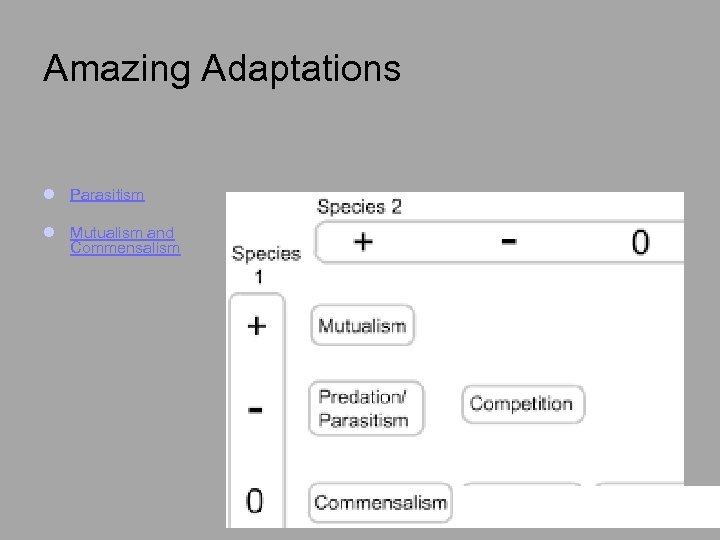 Amazing Adaptations l Parasitism l Mutualism and Commensalism 