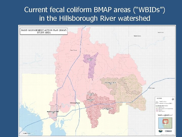 Current fecal coliform BMAP areas (“WBIDs”) in the Hillsborough River watershed 