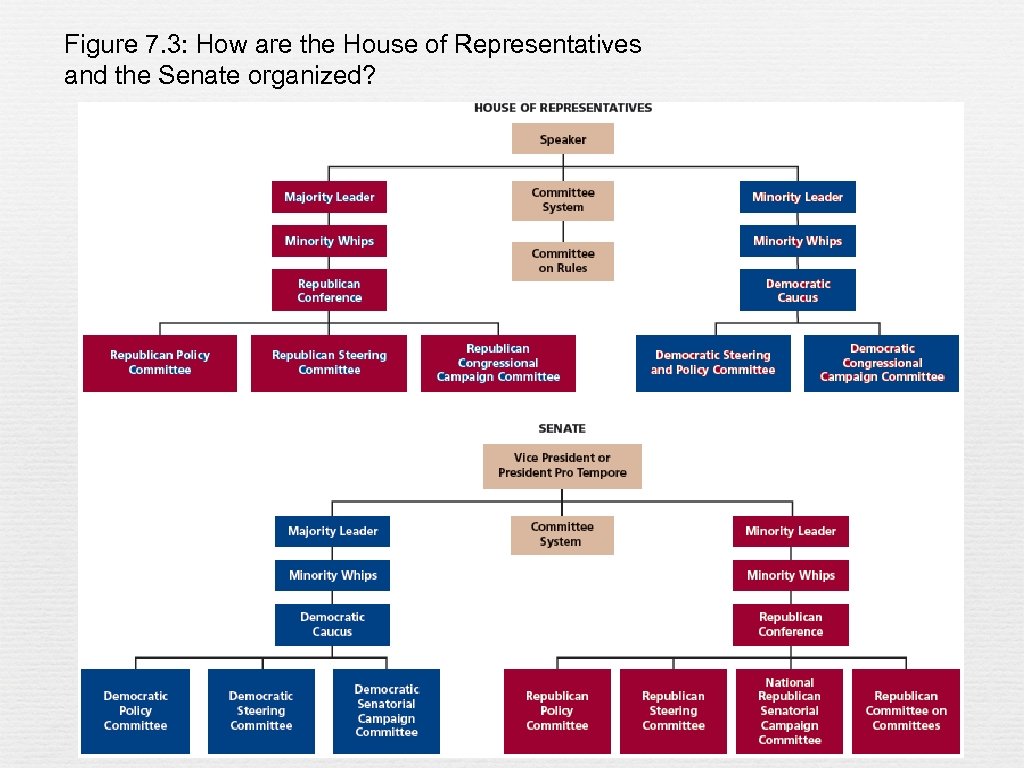 Figure 7. 3: How are the House of Representatives and the Senate organized? 