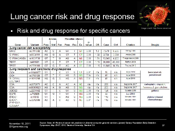 Lung cancer risk and drug response § Risk and drug response for specific cancers