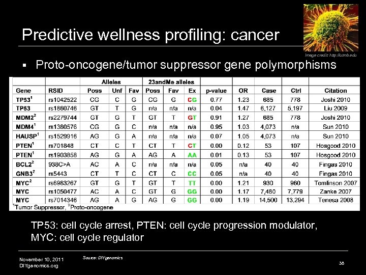 Predictive wellness profiling: cancer Image credit: http: //utmb. edu § Proto-oncogene/tumor suppressor gene polymorphisms