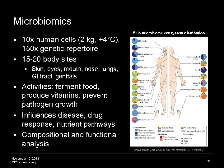 Microbiomics Skin microbiome ecosystem distribution 10 x human cells (2 kg, +4°C), 150 x