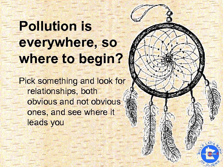 Pollution is everywhere, so where to begin? Pick something and look for relationships, both