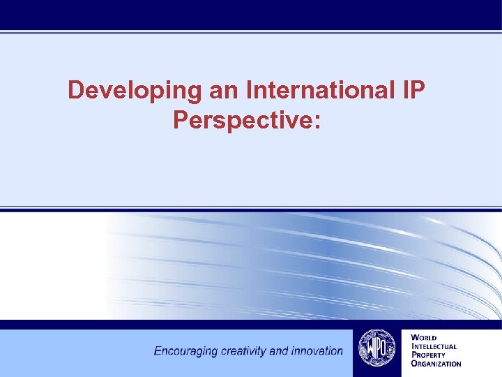 Developing an International IP Perspective: 