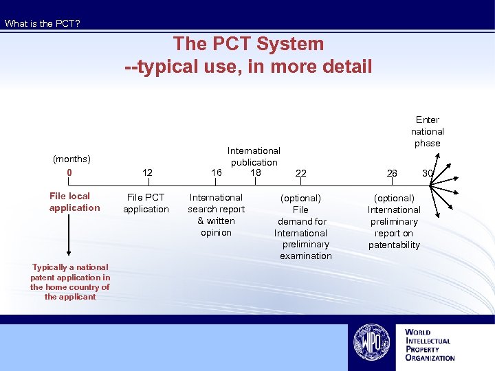 What is the PCT? The PCT System --typical use, in more detail (months) 0